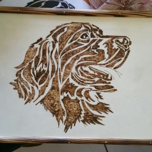 chien tribal format A4 60 frs 60 euro