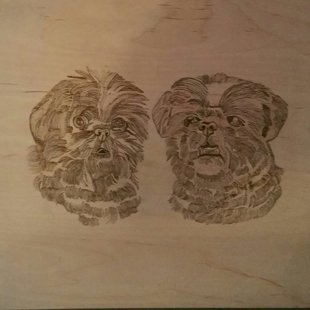 shits tsu format carre  80 frs 80 euro 