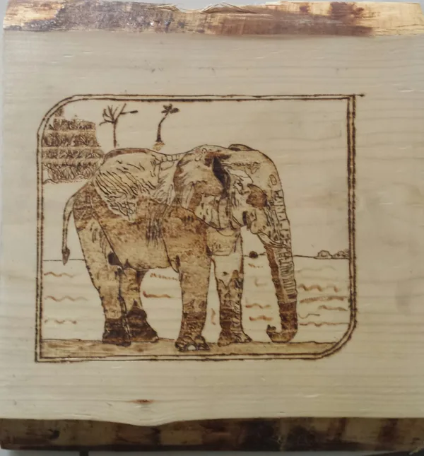 elephant format A4 80 frs 80 euro